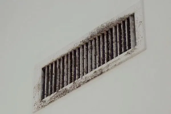 Get Rid Of Mold In Your HVAC System